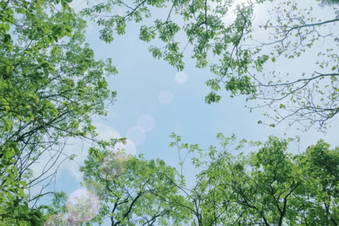 五月病、みんなどうしてる?