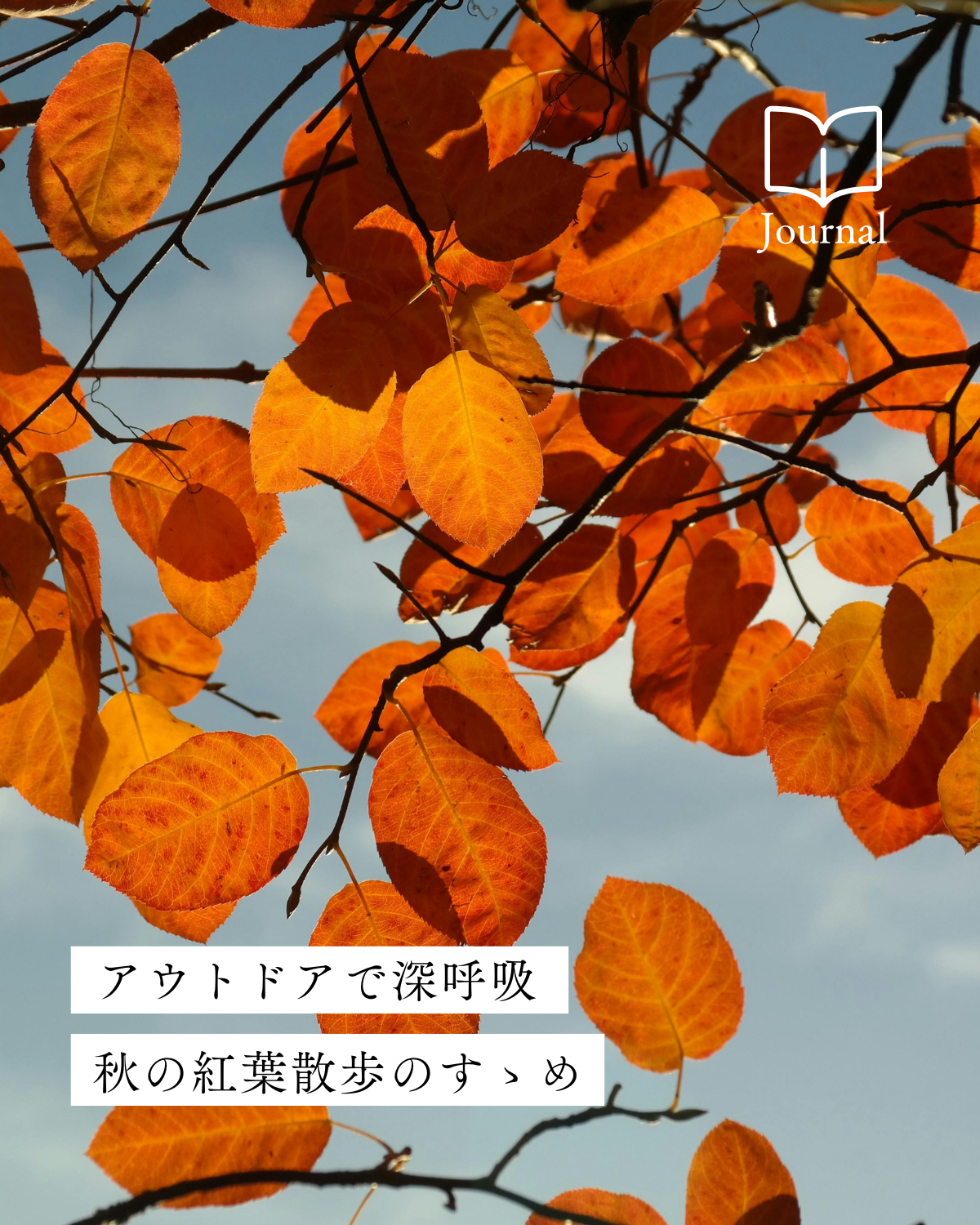 アウトドアで深呼吸。秋の紅葉散歩のすゝめ