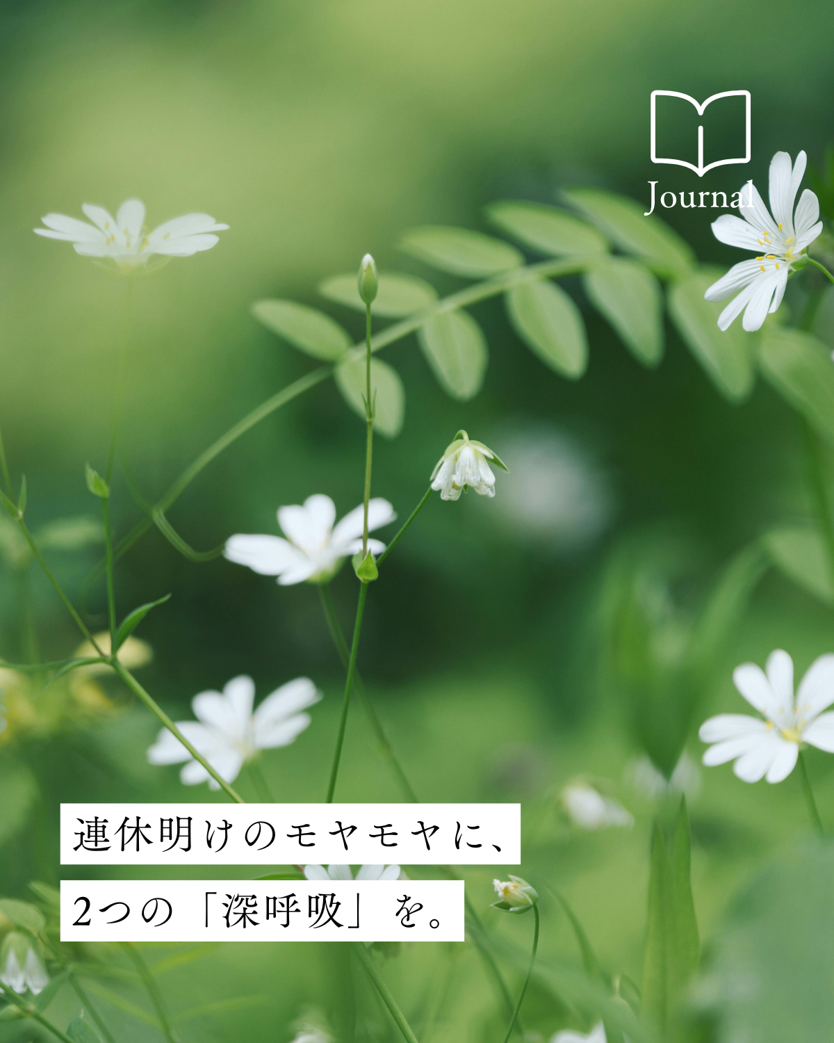 連休明けのモヤモヤは、頑張ったしるし。今こそ大切にしたい、深呼吸のはなし。