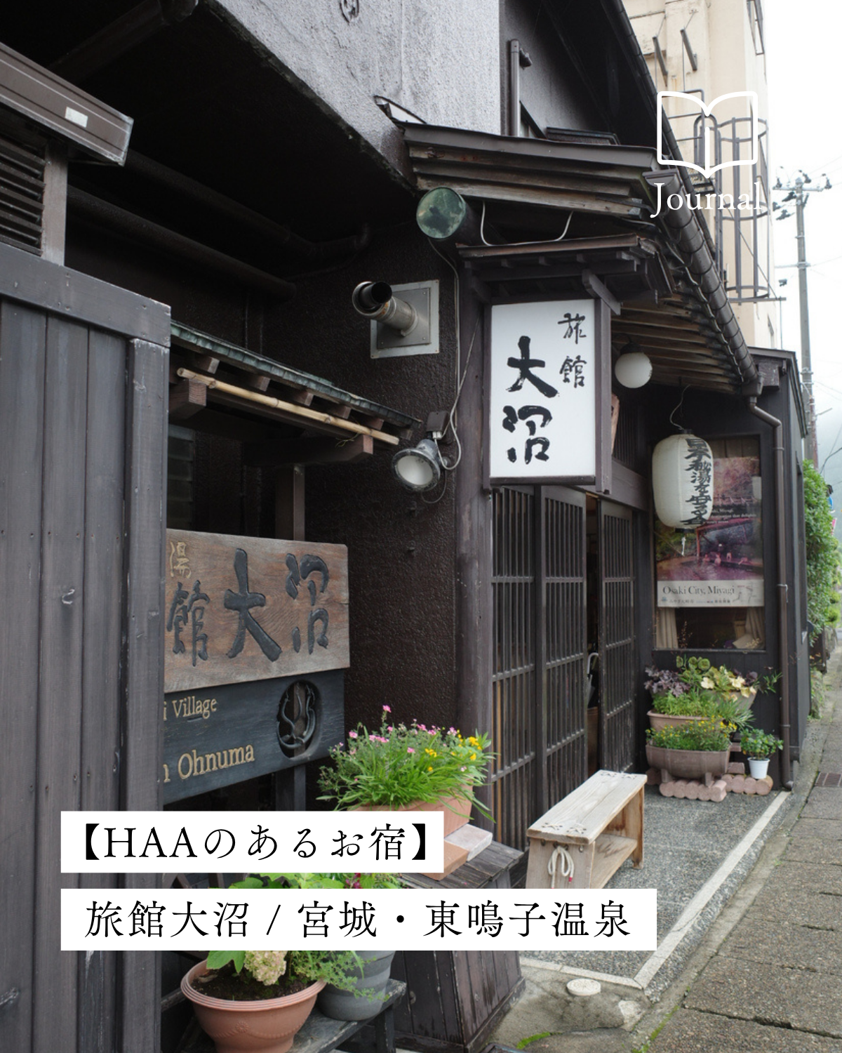 大地と植物が織りなす、香り立つ温泉。「旅館大沼」とHAAが紡ぐ、湯治と香りの物語