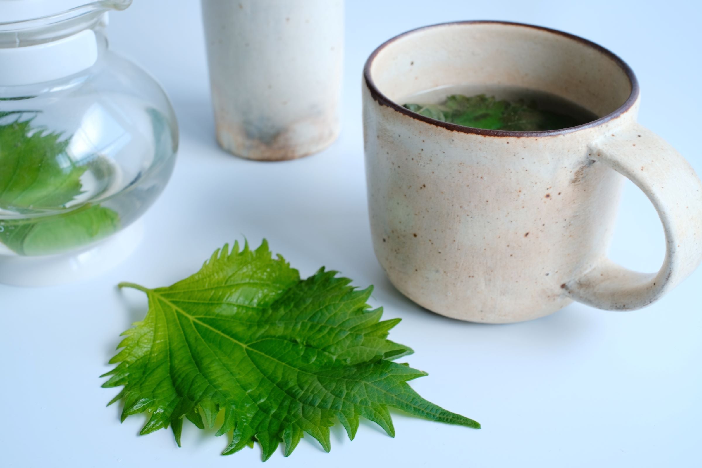 寝る前のHAA時間／手軽にできる青じそハーブティー