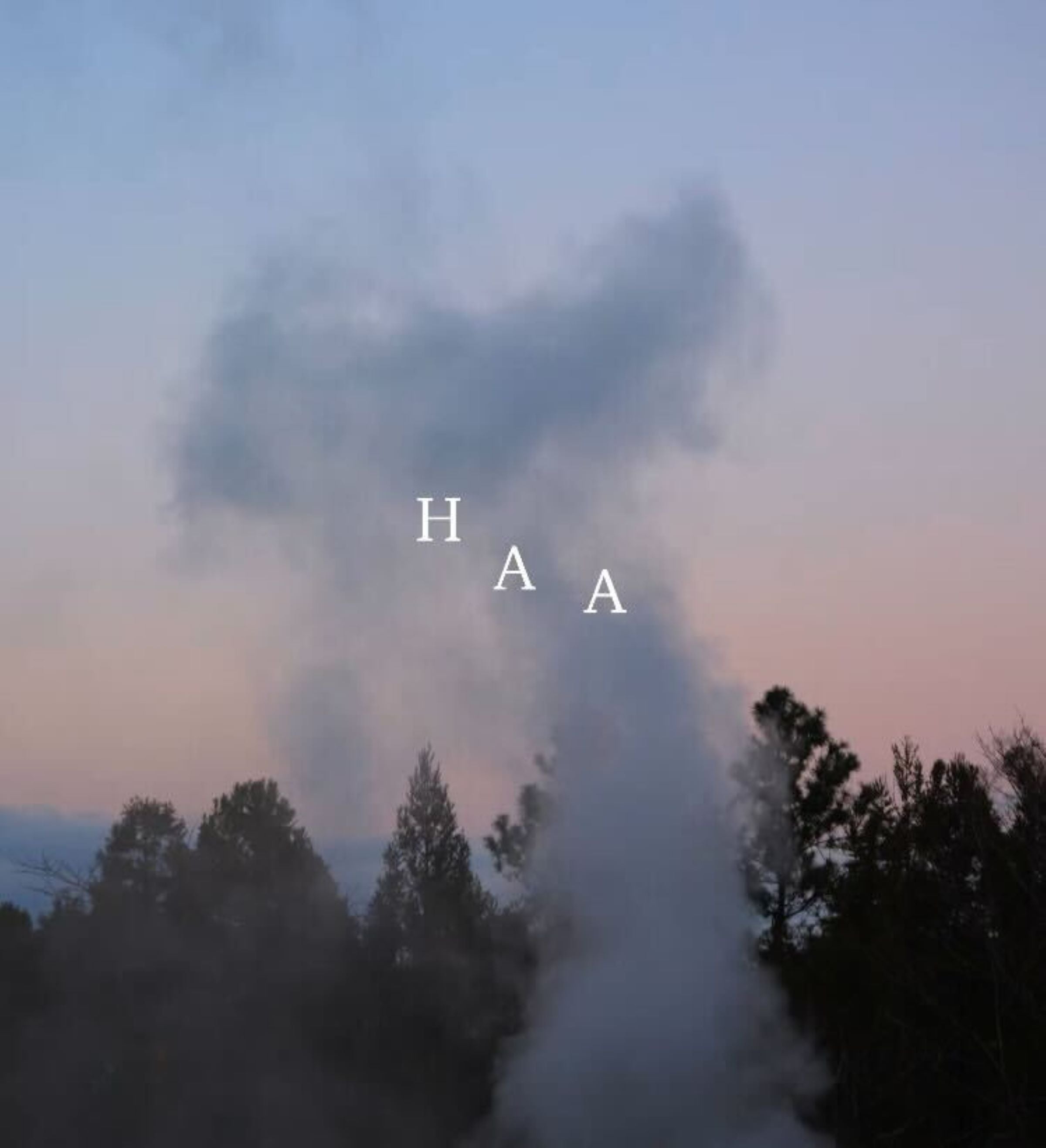 ＼5月9日は、呼吸の日／「HAA LAB」始まります！