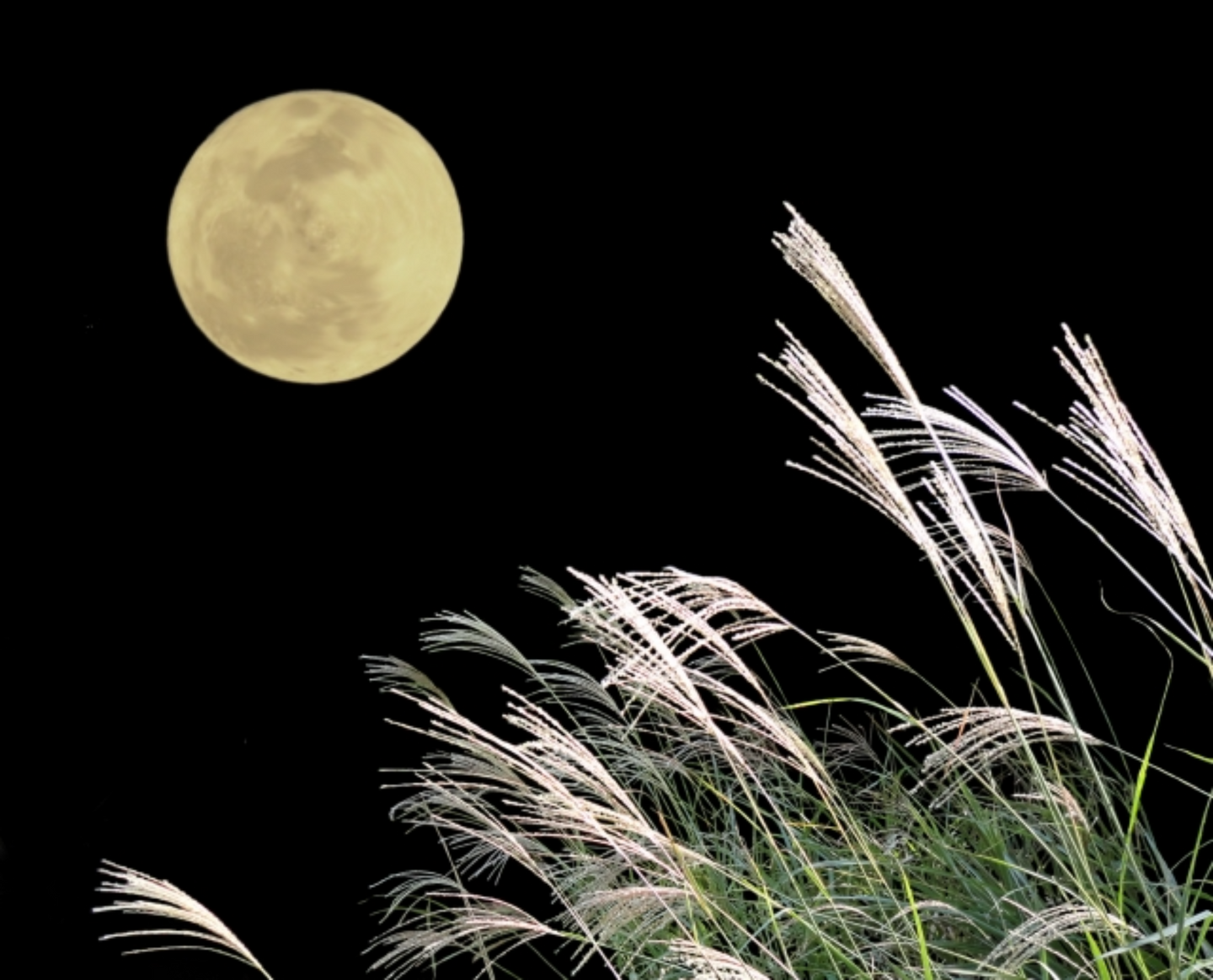 月を眺めるHAA時間／中秋の名月