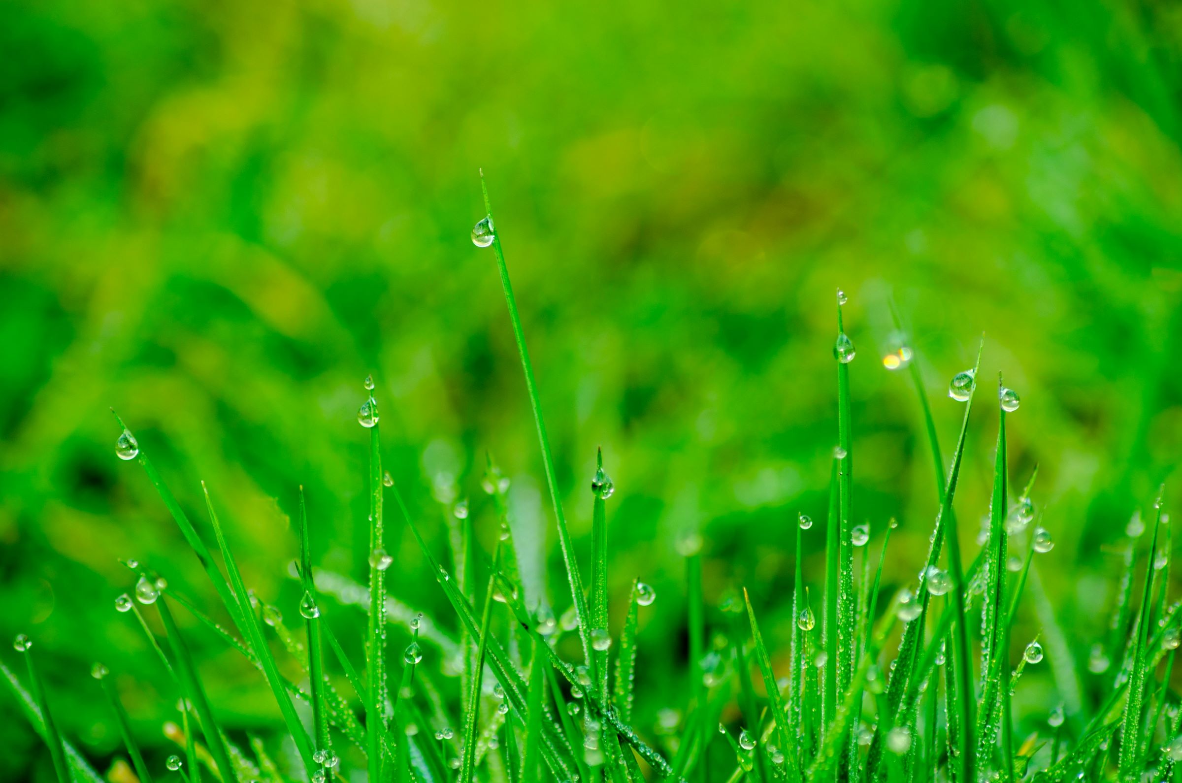 雨の日のため息を、深呼吸の「は～」に変える。   「次、雨が降ったら」